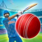 Cricket League Logo
